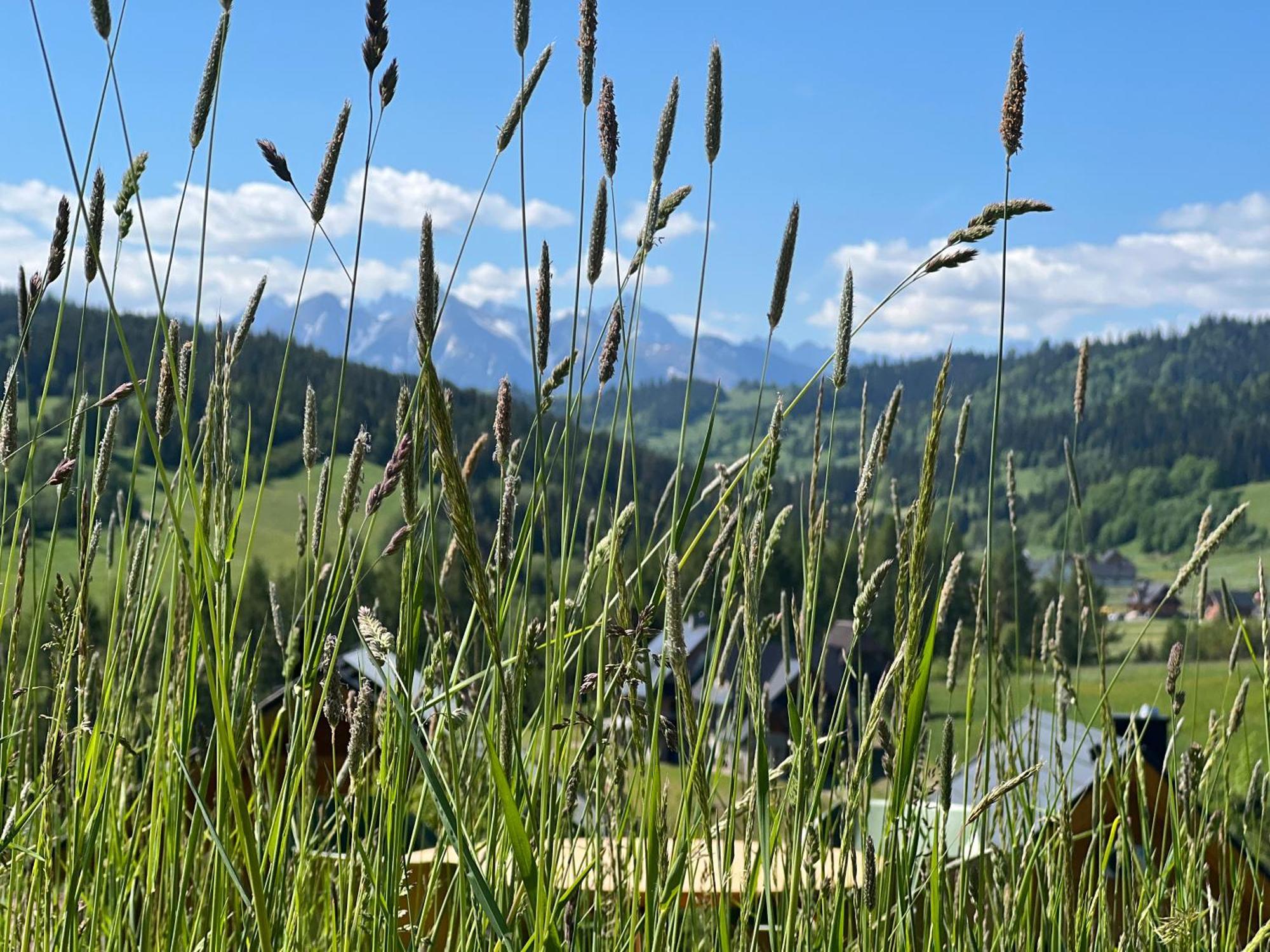 Houten Vakantiewoning "Reisnaarpolen" Royaal Ontbijt, Sauna En Hottub Czarna Góra Dış mekan fotoğraf