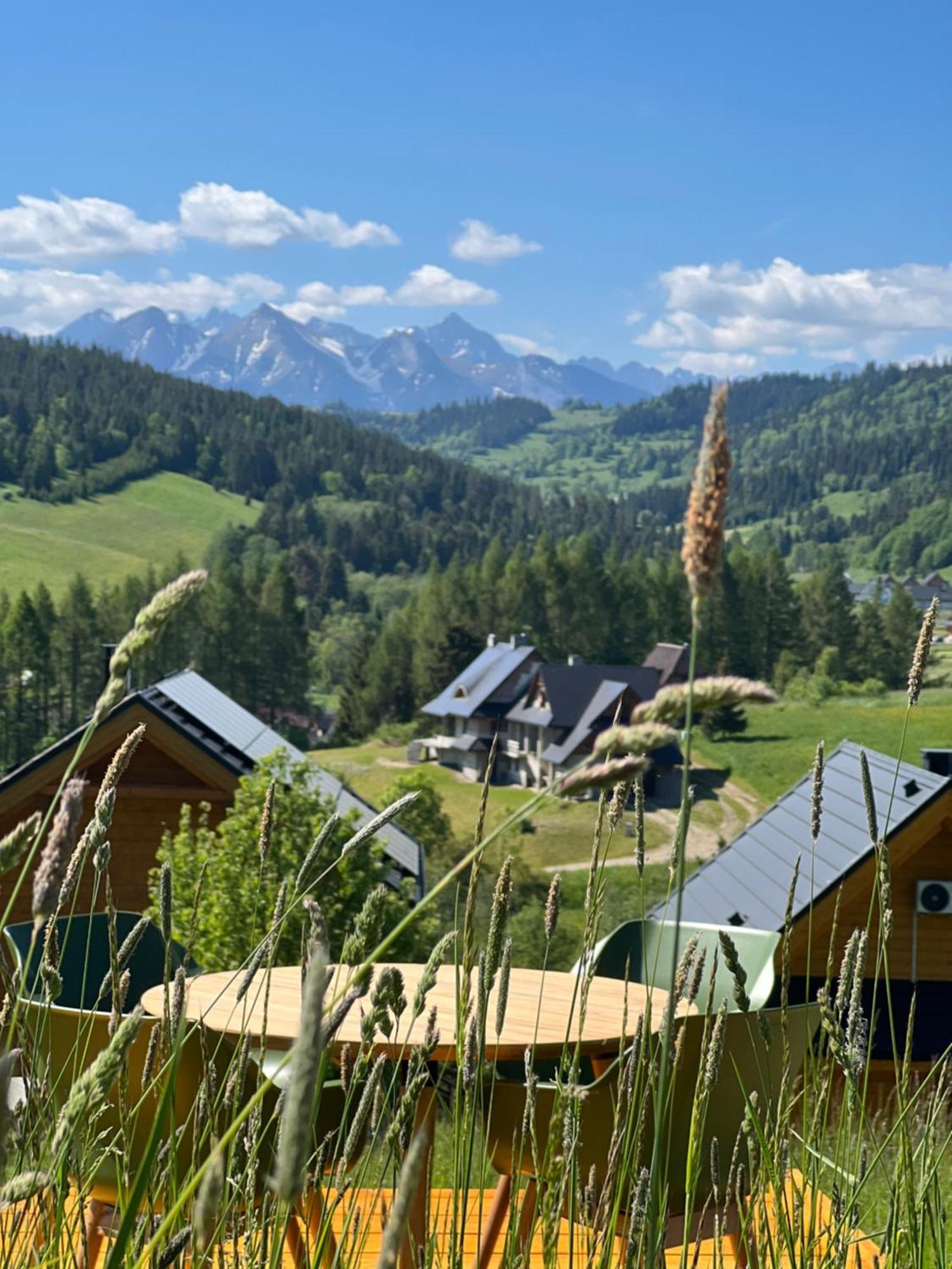 Houten Vakantiewoning "Reisnaarpolen" Royaal Ontbijt, Sauna En Hottub Czarna Góra Dış mekan fotoğraf
