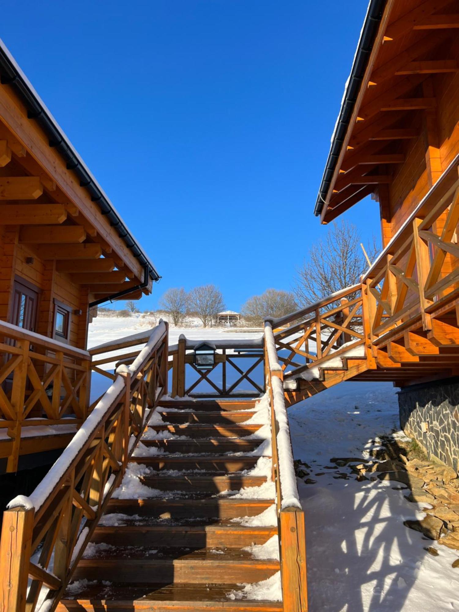 Houten Vakantiewoning "Reisnaarpolen" Royaal Ontbijt, Sauna En Hottub Czarna Góra Dış mekan fotoğraf